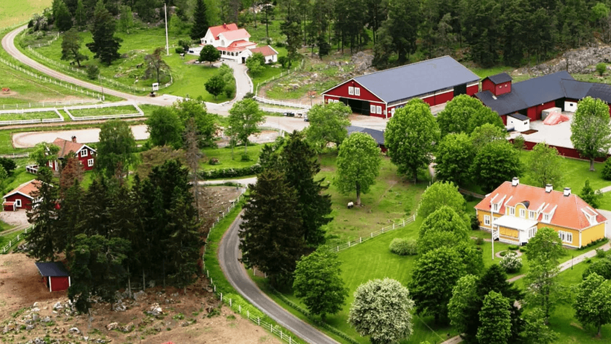 Agersta Islandshästcenter logotyp
