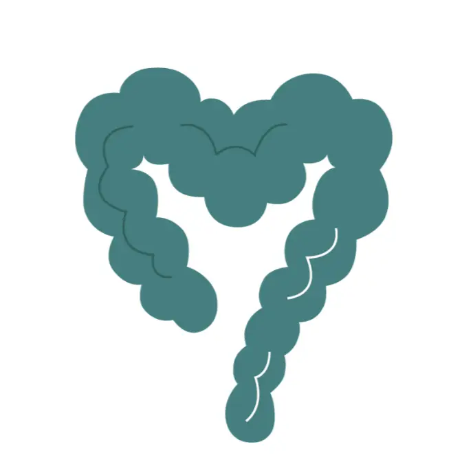 Belly Balance logotyp